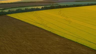 无人机视图对比颜色字段空中视图黄色的字段棕色（的）小麦场